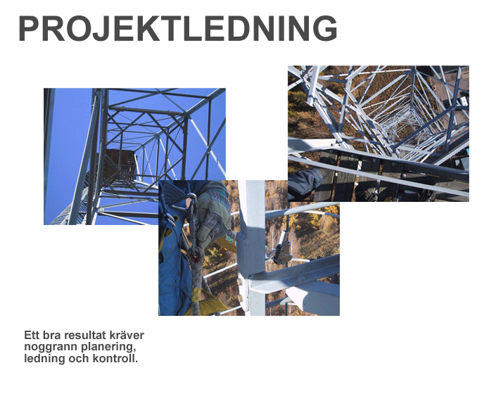 Projektledning